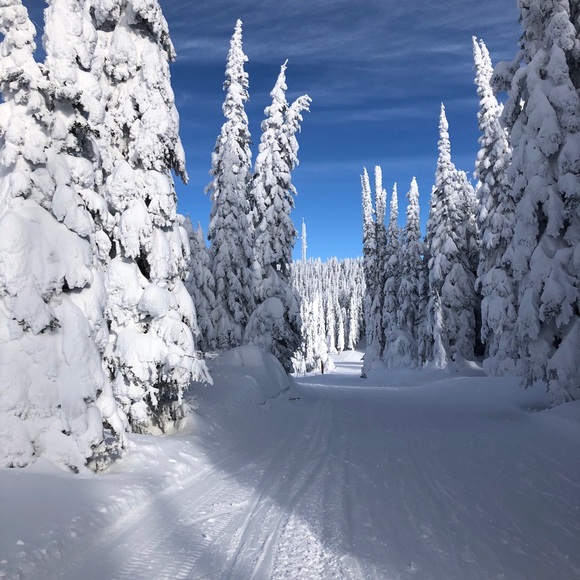 Meet your Posher, Michael - Picture 1 of 1